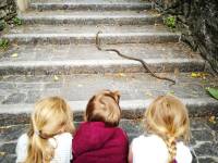 IMG_20170603_215351_resized_20191022_092043004